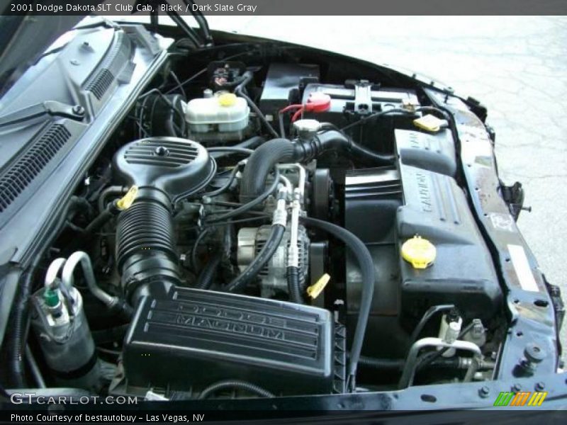 Black / Dark Slate Gray 2001 Dodge Dakota SLT Club Cab