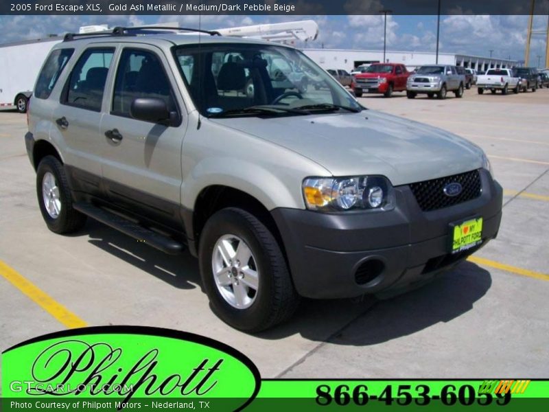 Gold Ash Metallic / Medium/Dark Pebble Beige 2005 Ford Escape XLS