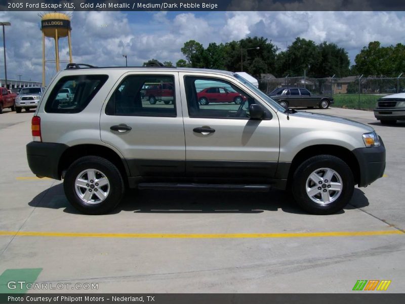 Gold Ash Metallic / Medium/Dark Pebble Beige 2005 Ford Escape XLS