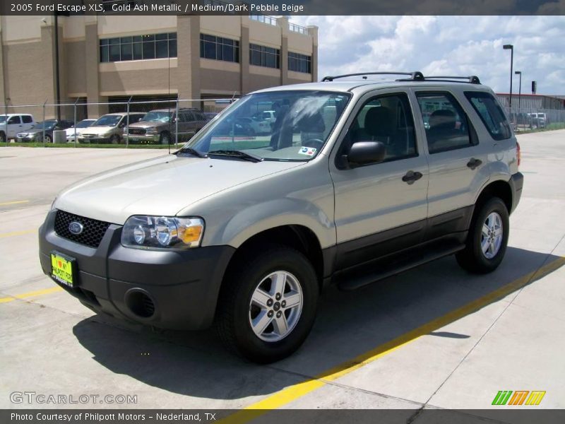 Gold Ash Metallic / Medium/Dark Pebble Beige 2005 Ford Escape XLS