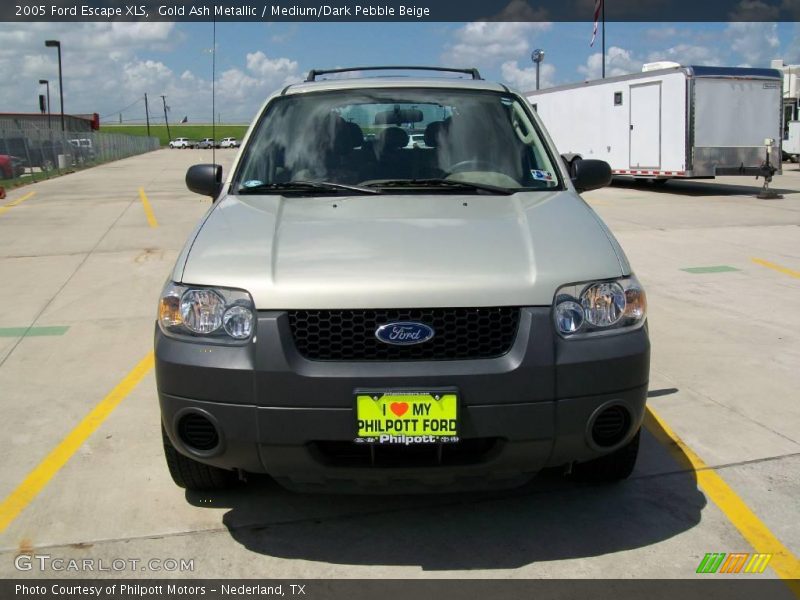 Gold Ash Metallic / Medium/Dark Pebble Beige 2005 Ford Escape XLS