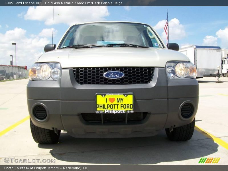 Gold Ash Metallic / Medium/Dark Pebble Beige 2005 Ford Escape XLS