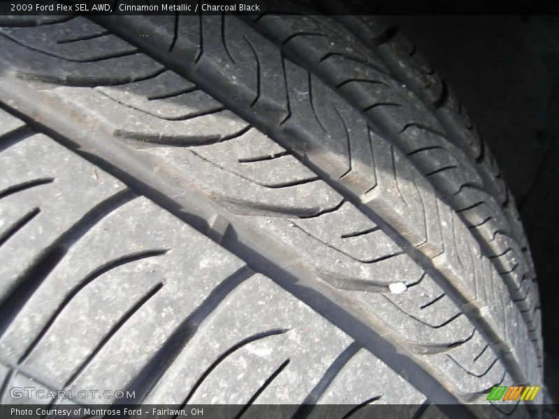 Cinnamon Metallic / Charcoal Black 2009 Ford Flex SEL AWD