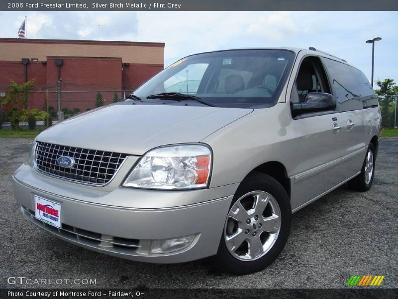 Silver Birch Metallic / Flint Grey 2006 Ford Freestar Limited