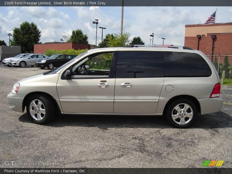 Silver Birch Metallic / Flint Grey 2006 Ford Freestar Limited