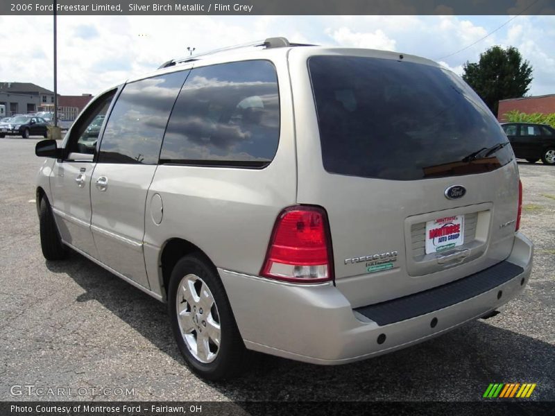 Silver Birch Metallic / Flint Grey 2006 Ford Freestar Limited