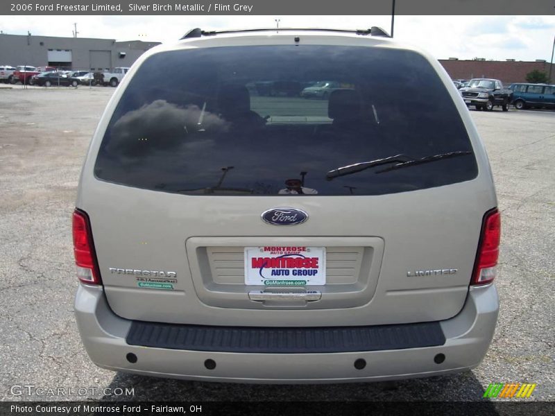 Silver Birch Metallic / Flint Grey 2006 Ford Freestar Limited