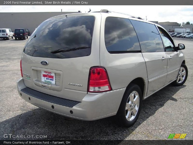 Silver Birch Metallic / Flint Grey 2006 Ford Freestar Limited