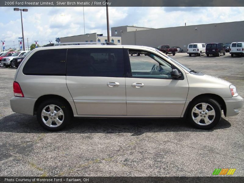 Silver Birch Metallic / Flint Grey 2006 Ford Freestar Limited
