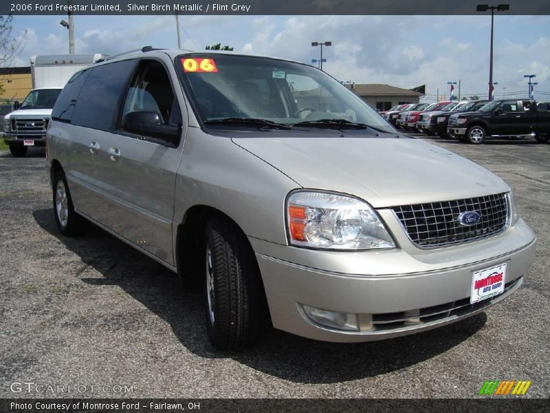 Silver Birch Metallic / Flint Grey 2006 Ford Freestar Limited