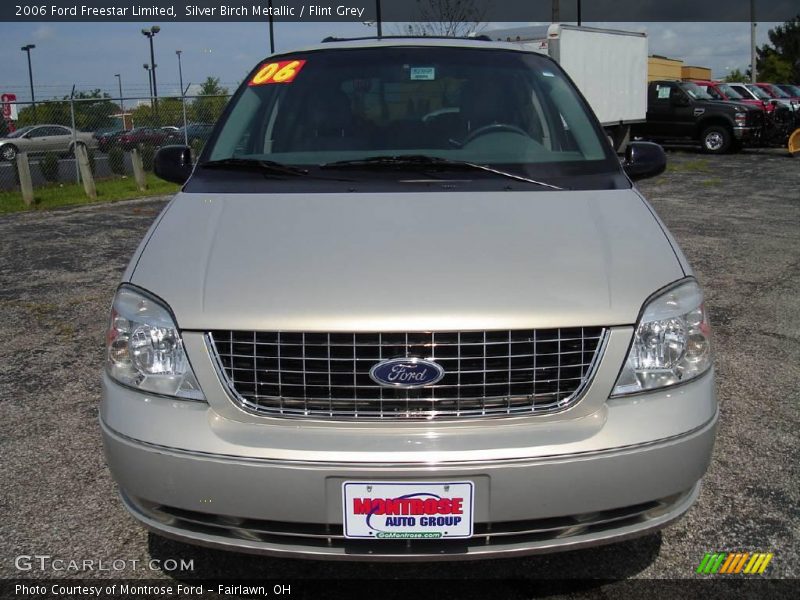 Silver Birch Metallic / Flint Grey 2006 Ford Freestar Limited