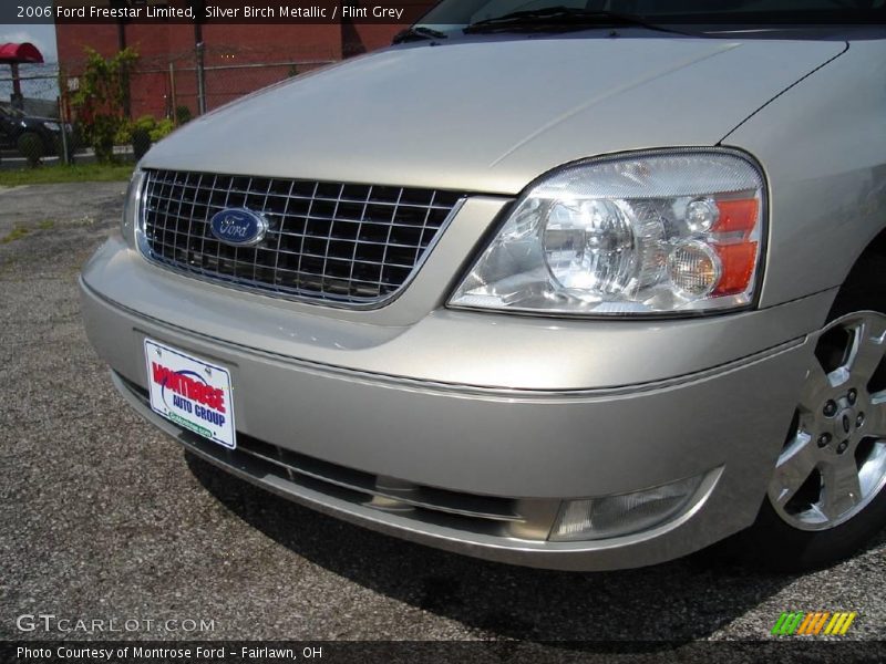 Silver Birch Metallic / Flint Grey 2006 Ford Freestar Limited