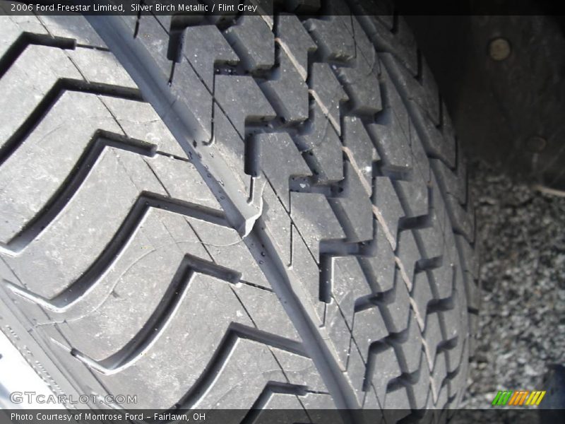Silver Birch Metallic / Flint Grey 2006 Ford Freestar Limited