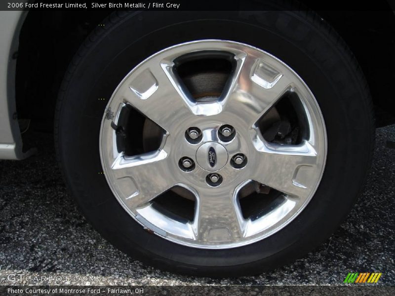 Silver Birch Metallic / Flint Grey 2006 Ford Freestar Limited