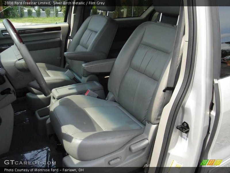 Silver Birch Metallic / Flint Grey 2006 Ford Freestar Limited