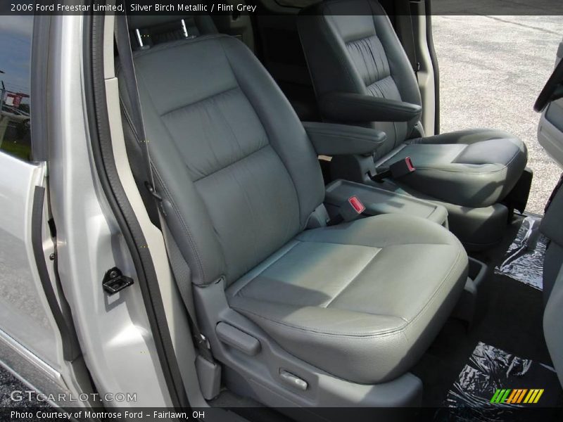 Silver Birch Metallic / Flint Grey 2006 Ford Freestar Limited