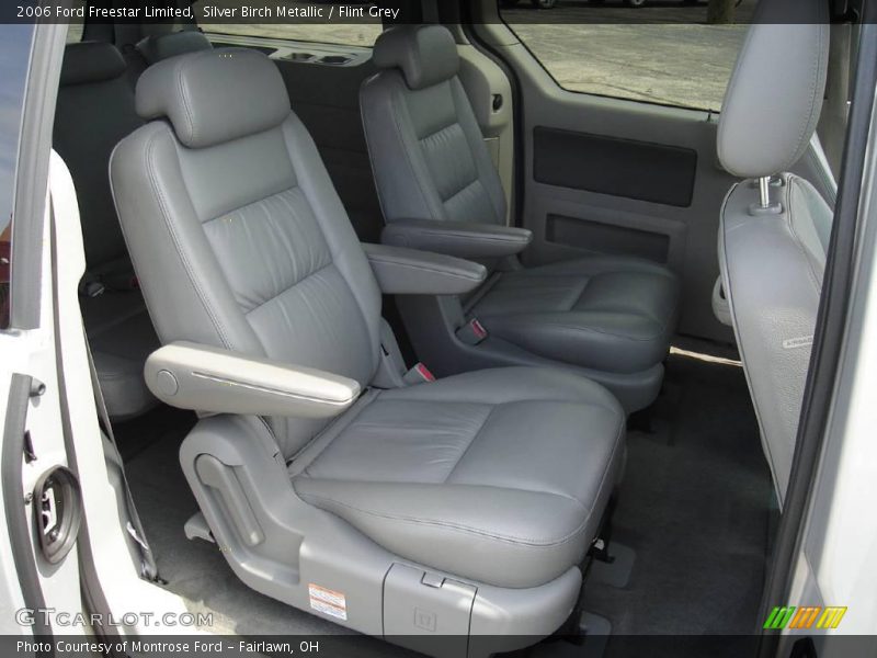 Silver Birch Metallic / Flint Grey 2006 Ford Freestar Limited