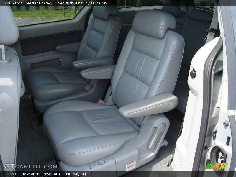 Silver Birch Metallic / Flint Grey 2006 Ford Freestar Limited