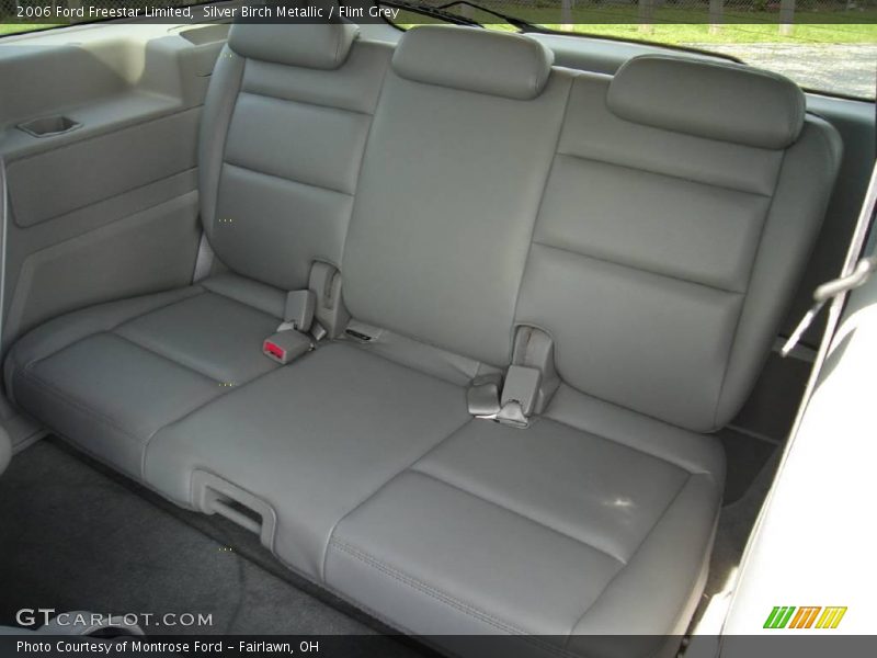 Silver Birch Metallic / Flint Grey 2006 Ford Freestar Limited