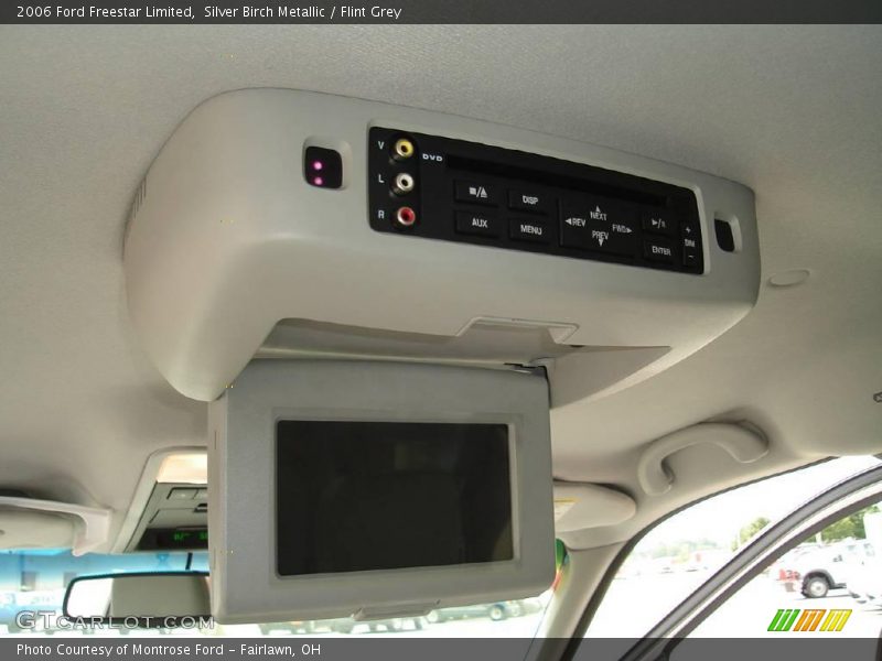 Silver Birch Metallic / Flint Grey 2006 Ford Freestar Limited