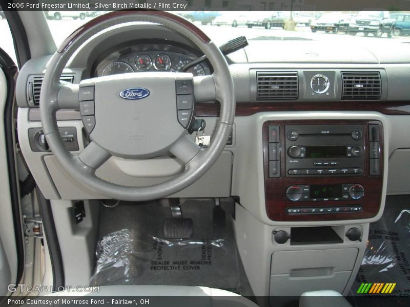 Silver Birch Metallic / Flint Grey 2006 Ford Freestar Limited