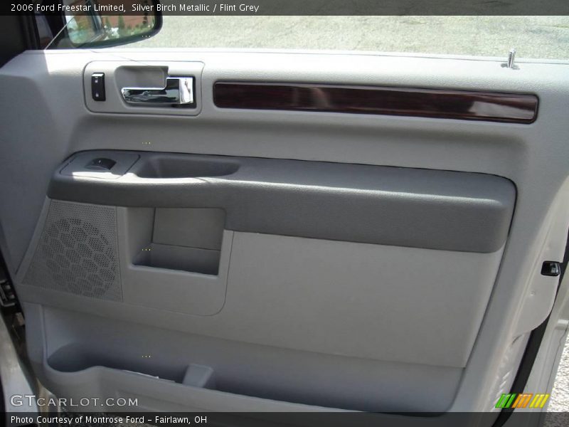 Silver Birch Metallic / Flint Grey 2006 Ford Freestar Limited