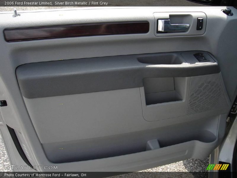 Silver Birch Metallic / Flint Grey 2006 Ford Freestar Limited