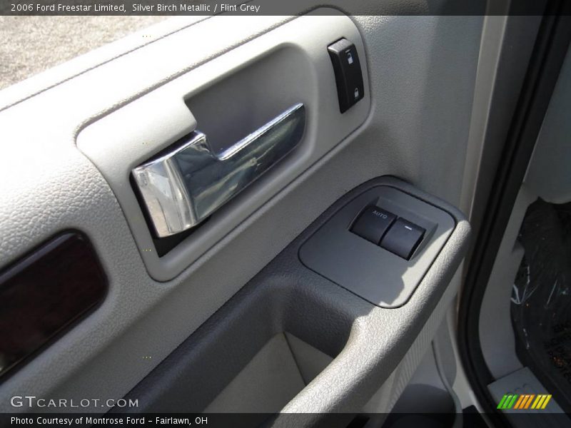 Silver Birch Metallic / Flint Grey 2006 Ford Freestar Limited