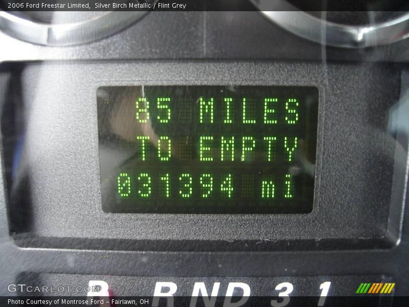 Silver Birch Metallic / Flint Grey 2006 Ford Freestar Limited