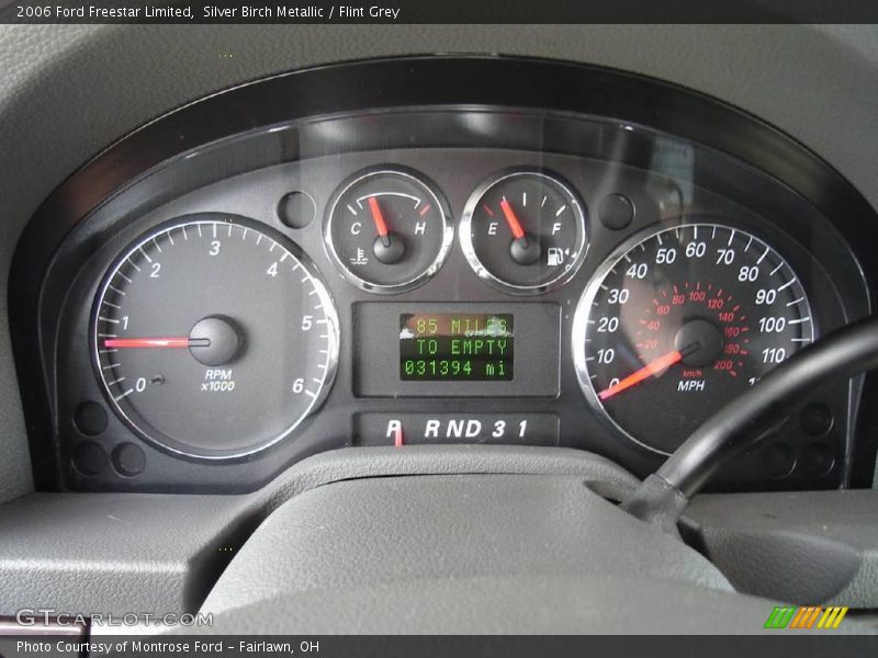 Silver Birch Metallic / Flint Grey 2006 Ford Freestar Limited