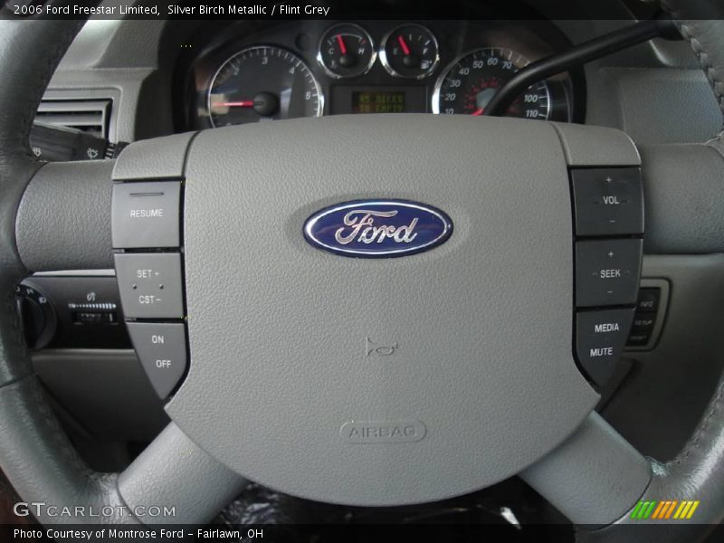 Silver Birch Metallic / Flint Grey 2006 Ford Freestar Limited