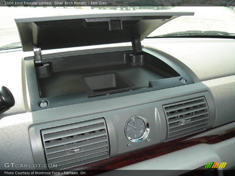Silver Birch Metallic / Flint Grey 2006 Ford Freestar Limited