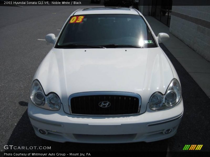 Noble White / Black 2003 Hyundai Sonata GLS V6