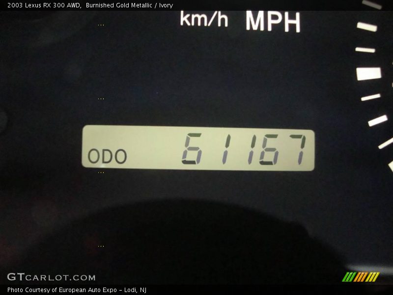 Burnished Gold Metallic / Ivory 2003 Lexus RX 300 AWD