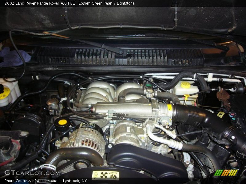 Epsom Green Pearl / Lightstone 2002 Land Rover Range Rover 4.6 HSE