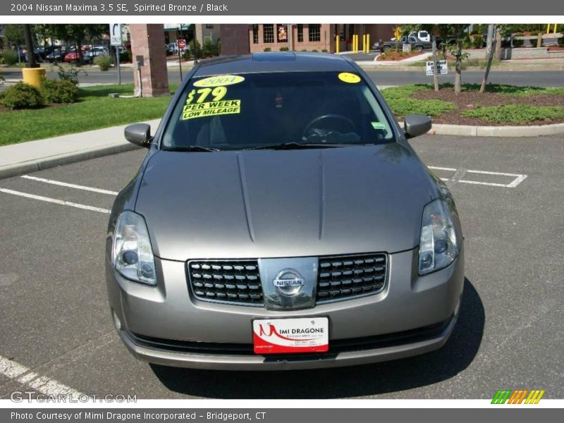 Spirited Bronze / Black 2004 Nissan Maxima 3.5 SE