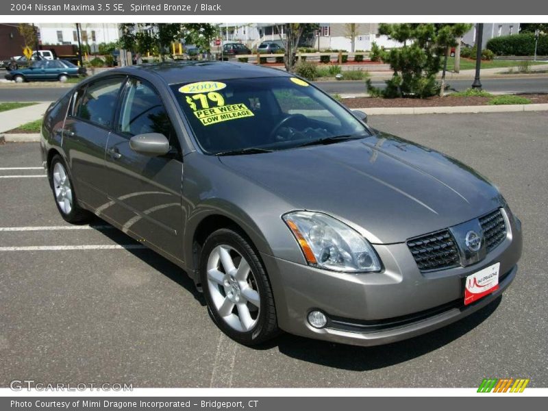 Spirited Bronze / Black 2004 Nissan Maxima 3.5 SE