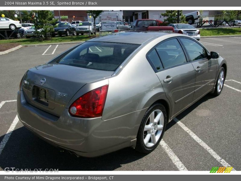 Spirited Bronze / Black 2004 Nissan Maxima 3.5 SE