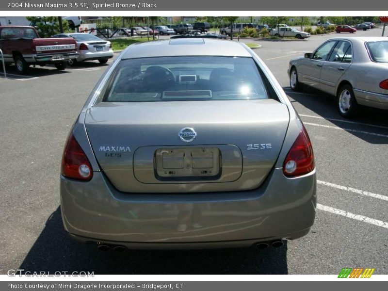 Spirited Bronze / Black 2004 Nissan Maxima 3.5 SE