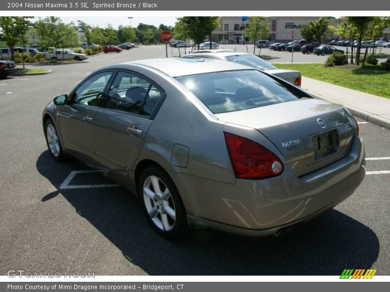 Spirited Bronze / Black 2004 Nissan Maxima 3.5 SE