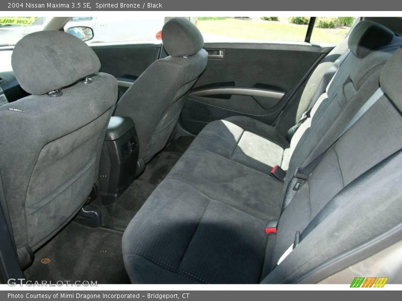 Spirited Bronze / Black 2004 Nissan Maxima 3.5 SE