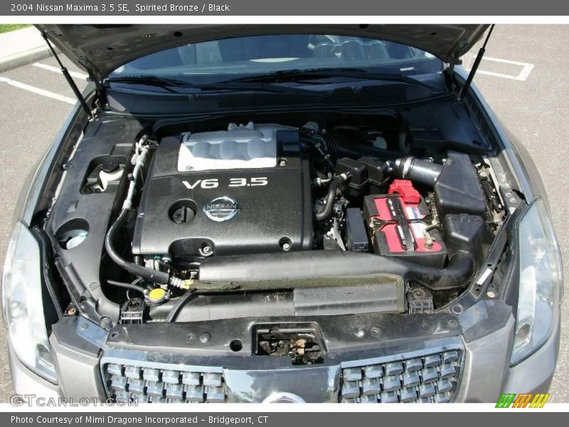 Spirited Bronze / Black 2004 Nissan Maxima 3.5 SE