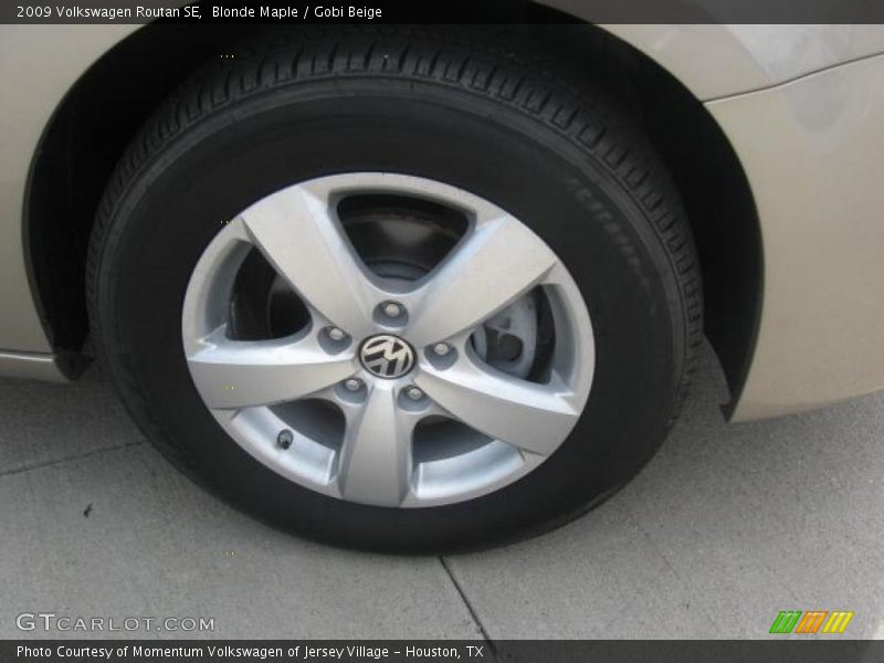 Blonde Maple / Gobi Beige 2009 Volkswagen Routan SE