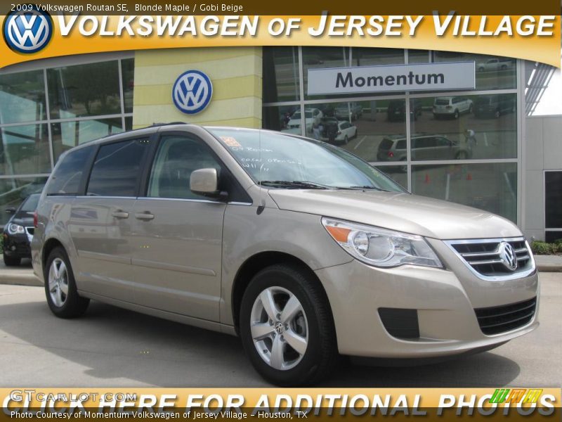 Blonde Maple / Gobi Beige 2009 Volkswagen Routan SE
