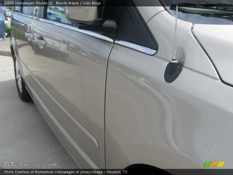 Blonde Maple / Gobi Beige 2009 Volkswagen Routan SE