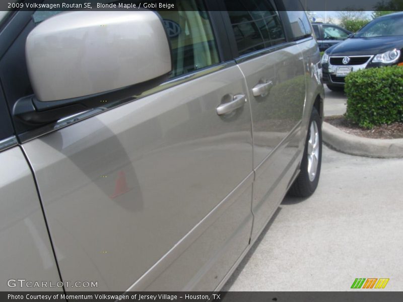 Blonde Maple / Gobi Beige 2009 Volkswagen Routan SE