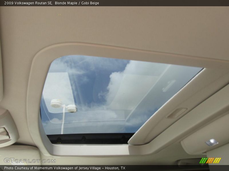 Blonde Maple / Gobi Beige 2009 Volkswagen Routan SE
