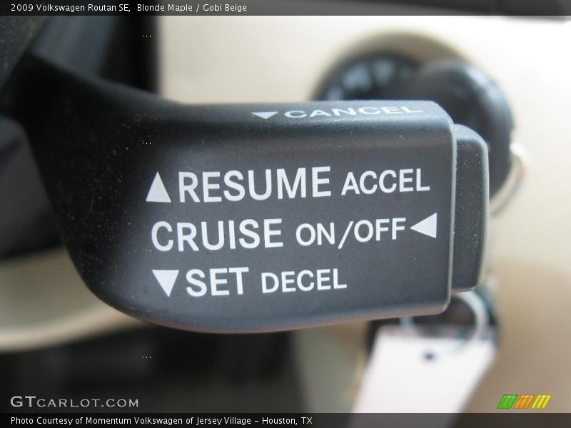 Blonde Maple / Gobi Beige 2009 Volkswagen Routan SE