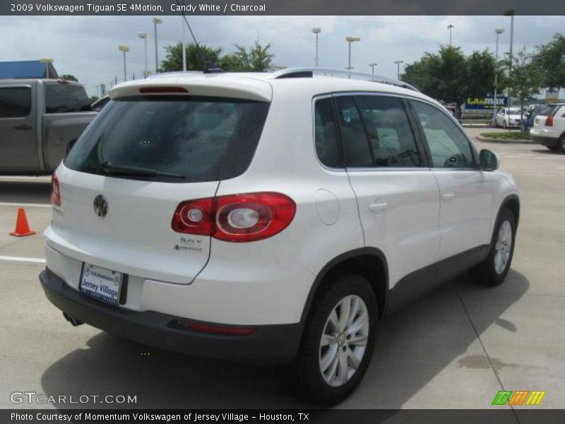 Candy White / Charcoal 2009 Volkswagen Tiguan SE 4Motion