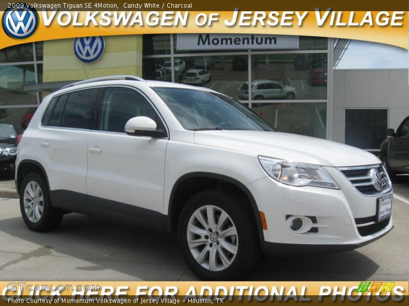 Candy White / Charcoal 2009 Volkswagen Tiguan SE 4Motion